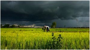 Monsoon Update: రైతులకు శుభవార్త.. ఈసారి మంచి వర్షాలే..!