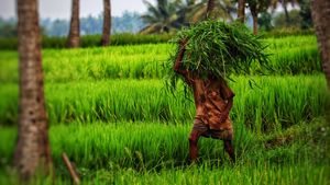 రుణమాఫీ అమల్లో కొత్త ట్విస్ట్- వారికి లేనట్లే, పరిమితి ఖరారు..!!