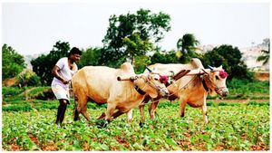 రుణమాఫీ మార్గదర్శకాలు జారీ - దక్కేది వీరికే, ఇవి తప్పనిసరి..!!