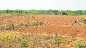 రాజకీయ నాయకుల లీలలు, రూ. వందల కోట్ల భూములు స్వాహా, ఆరా తీస్తున్న టీడీపీ 