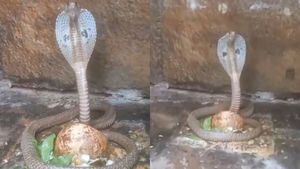 శ్రీశైలంలో వింత- తండోపతండాలుగా తరలిన భక్తజనం