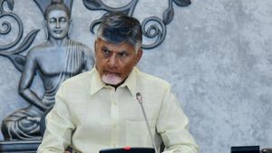 వారిని వదిలిపెట్టేది లేదు - చంద్రబాబు హెచ్చరిక..!!