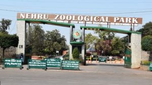 Zoo Park: నెహ్రూ జూలాజికల్  పార్క్ కు మూడో ర్యాంక్..!