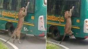 వీడియో: పై ప్రాణాలు పైనే పోయుంటాయ్..!!