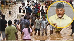 సీఎం చంద్రబాబు కీలక ప్రకటన... వారందరి అకౌంట్లలో డబ్బులు