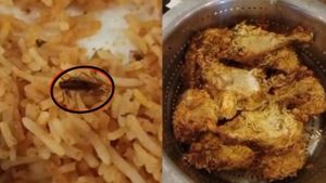 బయట తినాలంటేనే..: బిర్యానీలో బొద్దింక దర్శనం!