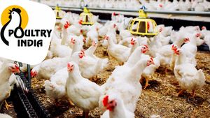 Poultry India Expo: హైదరాబాద్ లో పౌల్ట్రీ ఇండియా ఎక్స్‌పో..