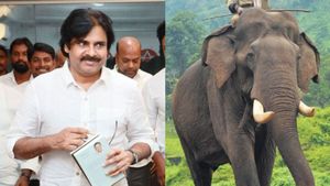 పవన్ కళ్యాణ్ గొప్ప విజనరీ...ఆ ఆపరేషన్ సక్సెస్.. ఇదే నిదర్శనం!