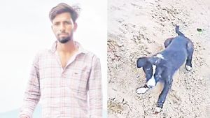 ప్రాణం తీసిన పెంపుడు కుక్క గోరు.. రేబిస్ లక్షణాలు కనిపిస్తే బతకడం కష్టమేనా..!