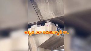 వైరల్ వీడియో: ఒరేయ్.. అక్కడ ఎలా దూరావ్  రా..!
