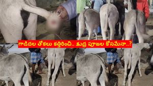 ఛీ..ఛీ.. ఏం చిల్లరగాళ్లు రా..? గాడిదల తోకలు కత్తిరించి ఎత్తుకెళ్లి.. క్షుద్ర పూజలు..!