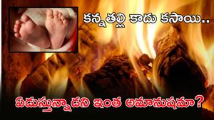 పసికందును పొయ్యిలో వేసి కాల్చేసిన తల్లి!