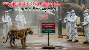 వామ్మో కొత్త వైరస్, గాలి ద్వారా ఎటాక్? 