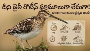 అపురూప అతిథి.. గడ్డి పరకల మధ్య దాక్కునే గడుసు పక్షి..