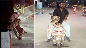 హైదరాబాద్ దుర్గం చెరువు వద్ద మైండ్ బ్లాక్ చేసే సీన్.. భారీ కొండచిలువ