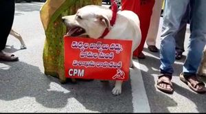 విశాఖలో కుక్కల పార్కుపై వివాదమేంటి? వద్దంటున్నదెవరు, కావాలనేదెవరు