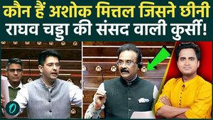 Who is Ashok Mittal, who replaced Raghav Chadha? AAP's new strategy surprises everyone; hear 3 key reasons why