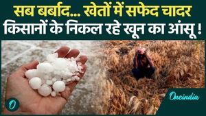 Weather Alert: Weather hits Haryana - UP, torrential rains ruin crops !