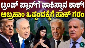 Pakistan May Need New Passports if It Signs Abraham Accords with Israel: Global Debate Intensifies