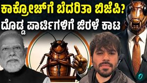 Who Is Abhijeet Dipke, Founder Of Online Sensation Cockroach Janta Party