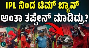 RCB Cricketer Tim David Suspended After IPL Final Celebration Incident