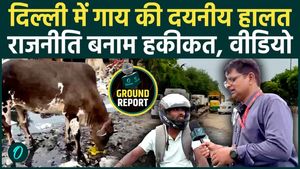 As Rashtramata Debate Intensifies, Disturbing Scenes from Delhi Raise Serious Questions