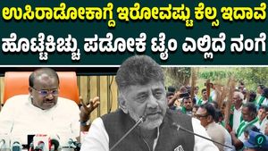 Bidadi Township Row Escalates: HDK Hits Back at CM DK Shivakumar Over Farmers' Land Issue