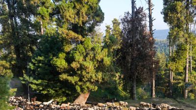 ফেব্রুয়ারির শেষে আবহাওয়ার চমক! উত্তরে বজ্রসহ বৃষ্টি, দক্ষিণে বাড়বে গরম, কেমন থাকবে আবহাওয়া?