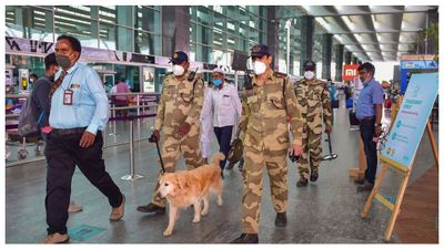 পশ্চিম এশিয়ার সংঘাতের জেরে আকাশপথে বিধিনিষেধ, মুম্বই, দিল্লি, বেঙ্গালুরুতে বাতিল প্রায় ১৮০ উড়ান
