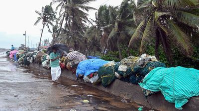 বসন্তের শুরুতেই বৃষ্টির ইঙ্গিত! এই সমস্ত জায়গাগুলিতে জারি হলুদ সতর্কতা, কী জানাচ্ছে হাওয়া অফিস?