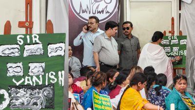 এসআইআর নিয়ে ছবি আঁকলেন মমতা, জ্ঞানেশ কুমারকে ভ্য়ানিশ কটাক্ষও ধরনা মঞ্চে