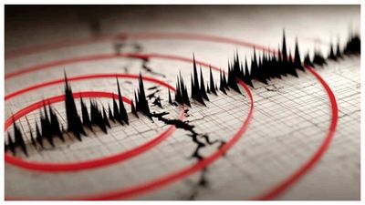 প্রবল ৭.৪ মাত্রার ভূমিকম্পে কেঁপে উঠল ইন্দোনেশিয়া, আতঙ্কে পথে মানুষ