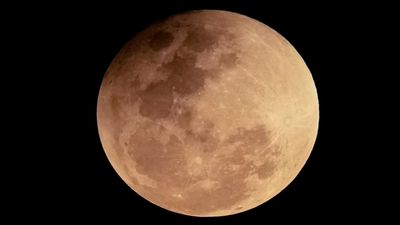 NASA-র বড় পরিকল্পনা! ৫০ বছর পর ফের চাঁদের পথে মানুষ, কেন এত গুরুত্বপূর্ণ এই নতুন মিশন? জানুন