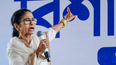 নববর্ষের শুভেচ্ছা জানালেন মমতা, দিলেন 'বিজেপির অত্যাচারের বদলা' নেওয়ার ডাকও