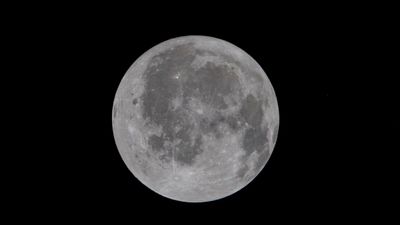 আর্টেমিস ২: চাঁদের অন্ধকার পিঠের অভূতপূর্ব ভিডিও শেয়ার করলেন মাস্ক