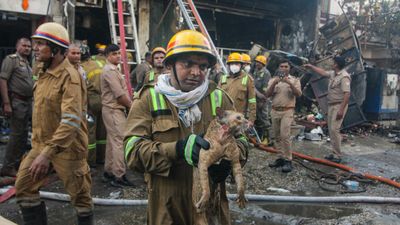 লখনউয়ের বহুতলে ভয়াবহ আগুন: অন্তত ১৫ জনের মৃত্যু, উদ্ধারকাজ জারি