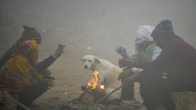 Gujarat Winter: રાજ્યમાં કઈ તારીખથી વધશે ઠંડી, જાણો હવામાન વિભાગની આગાહી 