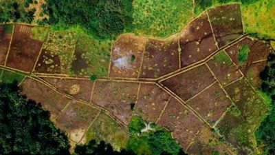 ગુજરાત સરકાર બદલવા જઈ રહી છે ખેતીની જમીન સાથે જોડાયેલા આ નિયમો