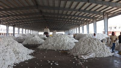 ગુજરાતની 224 APMCની કાયાપલટ થશે, બાંધકામ સહાય 5 કરોડથી વધારી 10 કરોડ કરાઈ