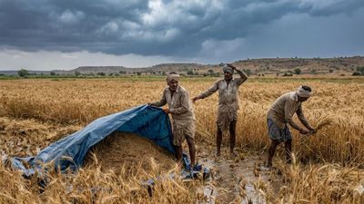 ખેડૂતો માટે પડ્યા પર પાટા જેવી સ્થિતી, ભરઉનાળે માવઠાની આગાહી