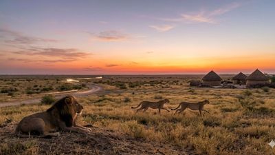 કચ્છના બન્ની વિસ્તારમાં ચિત્તાઓ વસાવાશે, સરકારે 14.70 કરોડ રૂપિયા ખર્ચ કર્યો