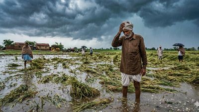 ગુજરાતના ખેડૂકોને હાલ માવઠાની રાહત નહીં, હવામાન વિભાગની મોટી આગાહી