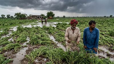જામનગર પંથકમાં કમોસમી વરસાદ, કાલથી આ જિલ્લાઓમાં આગાહી