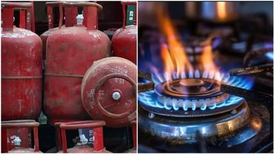 રાજ્યમાં LPG ગેસનો પુરતો જથ્થો, ગુજરાત સરકારનો દાવો