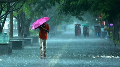 Gujarat Weather: રાજ્યમાં કરા સાથે કમોસમી વરસાદની આગાહી, 80થી વધુ તાલુકામાં નોંધાયો વરસાદ