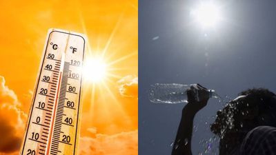 ગુજરાતમાં કાળઝાળ ગરમી પડવાની હવામાન વિભાગની આગાહી, જાણો તમારા શહેરમાં કેવો રહેશે માહોલ