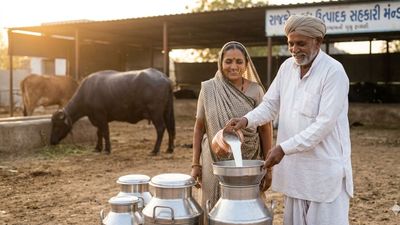 રાજકોટ ડેરીએ દૂધના ખરીદ ભાવમાં વધારો ક્યો, જાણો નવા ભાવ