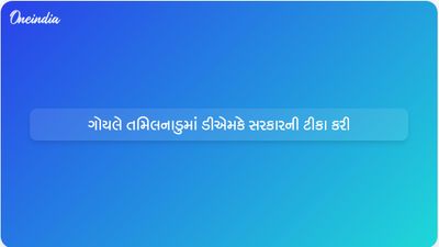પીયૂષ ગોયલે ડીએમકે સરકારના પ્રદર્શનની ટીકા કરી અને તમિલનાડુમાં મજબૂત એનડીએ સમર્થનનો દાવો કર્યો