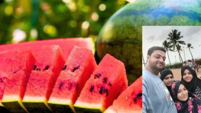 મુંબઈમાં તરબૂચ ખાવાથી મોત: એક જ પરિવારના 4 સભ્યોના કરુણ મોત - ક્યાં થઈ ભૂલ?