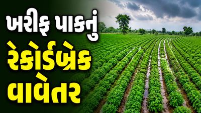 સૌરાષ્ટ્રમાં ૬૦%થી વધુ ખરીફ વાવેતર સંપન્ન: મગફળી અને કપાસનું બમ્પર વાવેતર